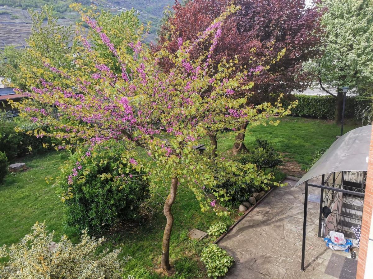 Appartement La Casa Del Quirino à Tirano Extérieur photo