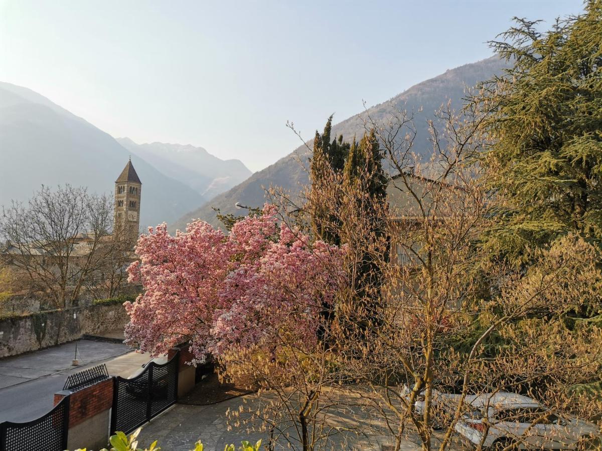 Appartement La Casa Del Quirino à Tirano Extérieur photo